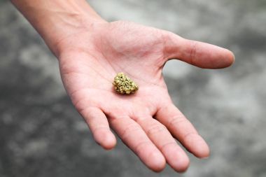 Madende bulunan saf altın madeni erkeklerin elinde..