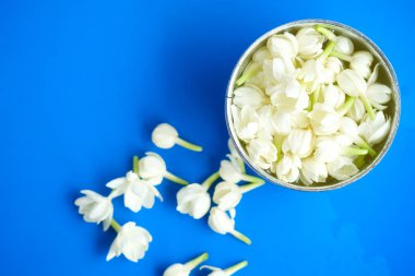 Yasemin mavi arka plan, Tay anneler günü çiçek üzerinde gümüş kase