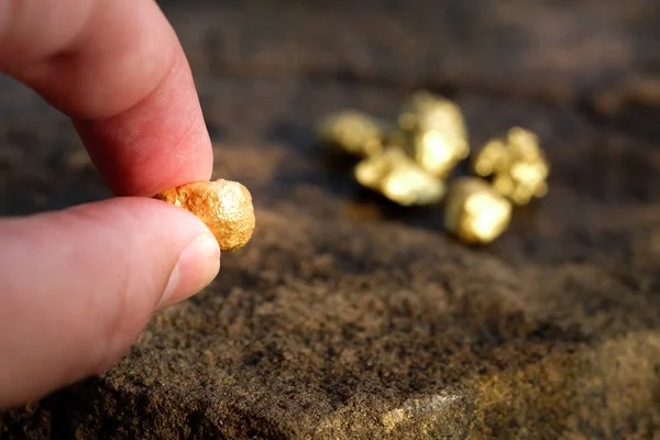 Minério Ouro Puro Encontrado Mina Está Nas Mãos Dos Homens Imagem De Stock