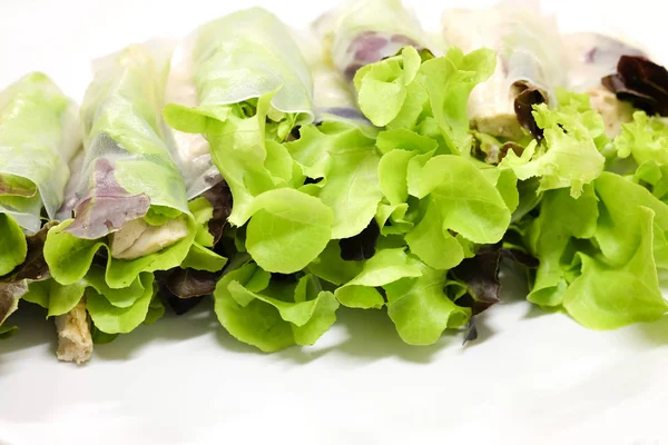 Involtino Insalata Salute Con Quercia Verde Quercia Rossa Verdure Idroponiche — Foto Stock