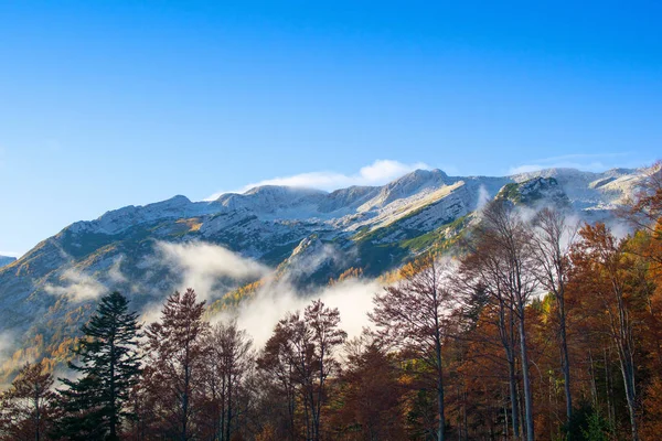 Sonbahar Dağları Sisin Üzerinde Bir Dağ Zirvesi — Stok fotoğraf