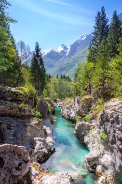 Güzel nehir kanyonu, Trenta Vadisi, Slovenya 'daki Büyük Soca vadisi, yavaş deklanşör hızı, uzun pozlu fotoğraf