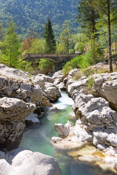 Slovenya Trenta Vadisi Ndeki Küçük Soca Vadisi Köprüsü Ormanı Olan — Stok fotoğraf