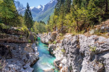Güzel nehir kanyonu, büyük Soca vadisi, Slovenya, Bovec 'teki doğal cennet.
