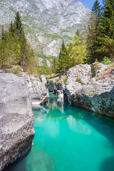 Güzel Nehir Kanyonu Büyük Soca Vadisi Slovenya Bovec Doğa Cenneti — Stok fotoğraf