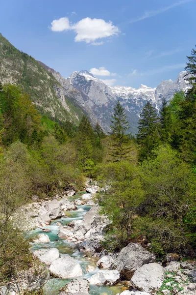 Soca River Bovec Alpine Valley Slovenian Alps — Stok fotoğraf