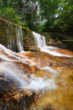Güzel ve taze tropikal orman, Malezya, şelale ve su akışı.