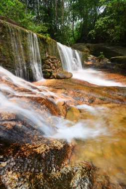 Güzel ve taze tropikal orman, Malezya, şelale ve su akışı.