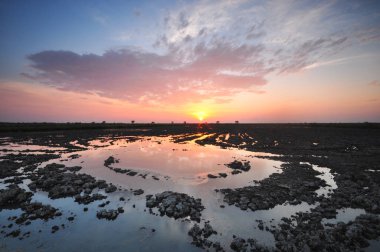 Güzel gün batımı manzaralı.