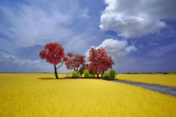 Impresionante paisaje de naturaleza infrarroja con edición colorida . — Foto de Stock