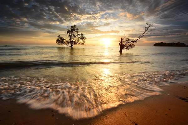 Hermosa vista del cielo al atardecer en el paisaje marino . — Foto de Stock