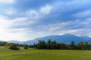 Yeşil Alan Manzarası