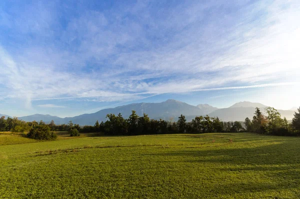 Yeşil Alan Manzarası