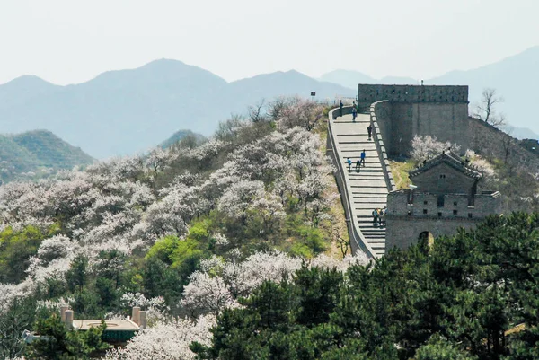 만리장성 — 스톡 사진