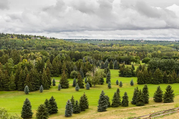 William Hawrelak Park Edmonton
