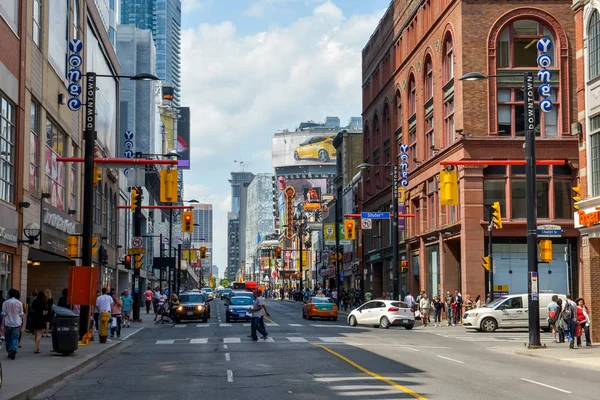 Toronto downtown binaları ve sokakları görüntüleme