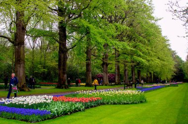 Bahçedeki çiçekler