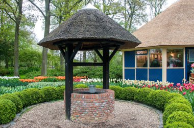 Bahçedeki çiçekler