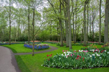 Bahçedeki çiçekler