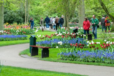 Bahçedeki çiçekler