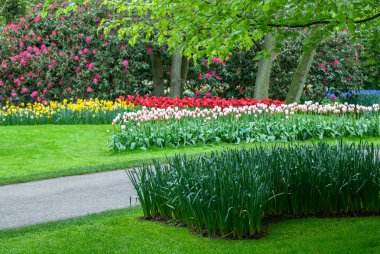 Bahçedeki çiçekler