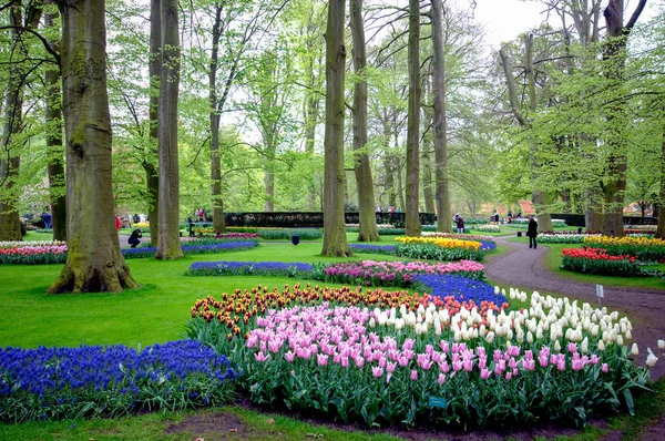 Bahçedeki çiçekler