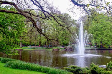 Bahçedeki çiçekler