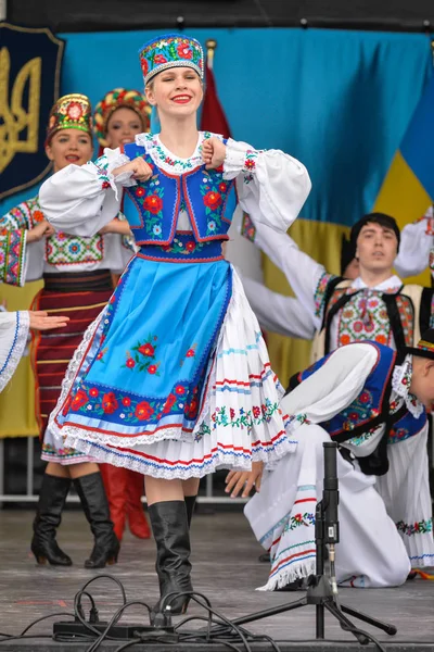 乌克兰独立日在多伦多 — 图库照片