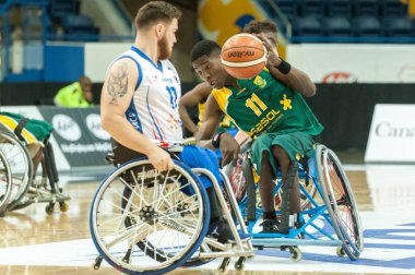Dünya tekerlekli sandalye Basketbol Şampiyonası 