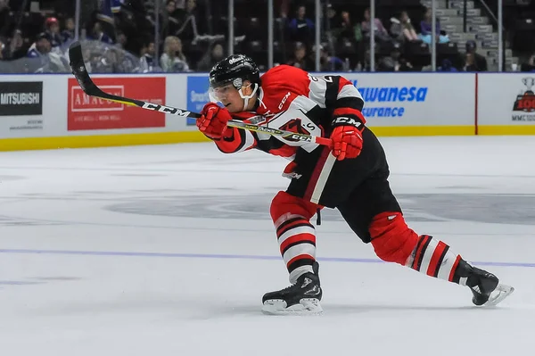 Mississauga Steelheads vs Ottawa 67. Hokey oyunu