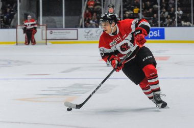 Mississauga Steelheads vs Ottawa 67. Hokey oyunu