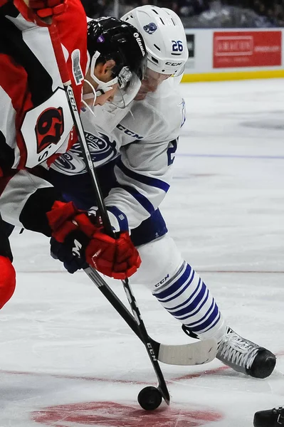 Mississauga Steelheads vs Ottawa 67. Hokey oyunu