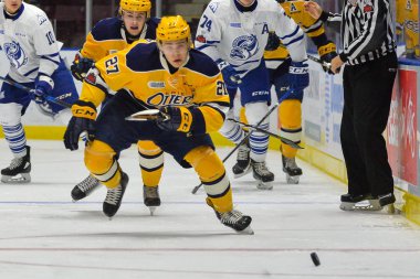 Mississauga Steelheads vs Erie su samuru
