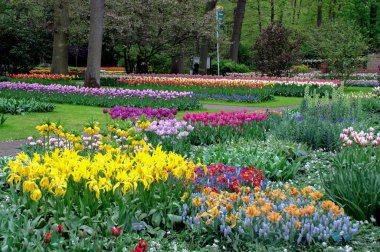 Bahçedeki çiçekler