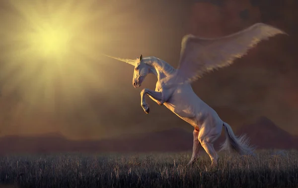 Pink unicorn reared — Stock Photo, Image