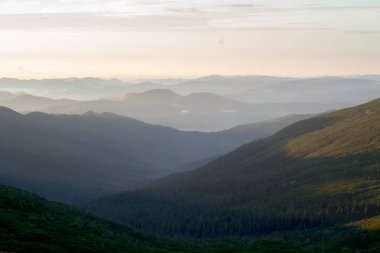 Karpatlar, Ukrayna - 5 Temmuz 2016: Karpat Dağları üst kısmında. 