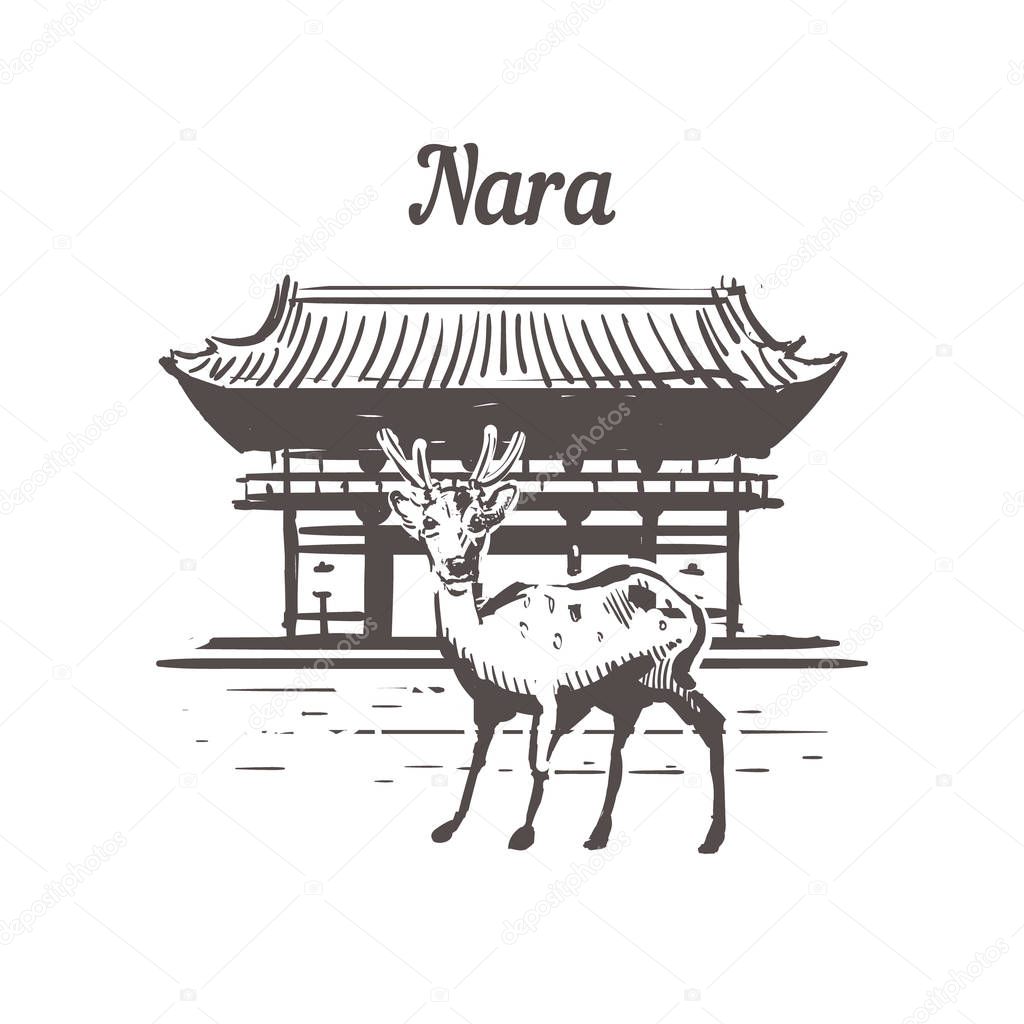 Nara skyline sketch. Nara hand drawn illustration isolated on