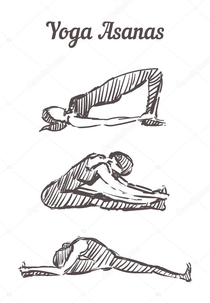 Hand drawn yoga asanas. Sketch of yoga poses, vector illustration isolated
