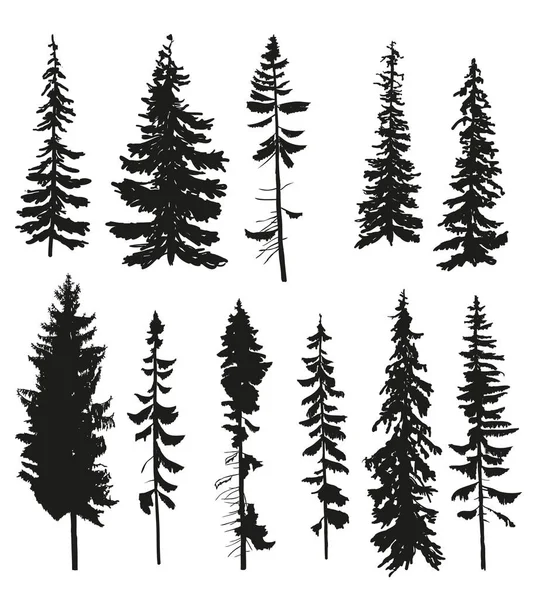 Colección de siluetas de pino — Vector de stock