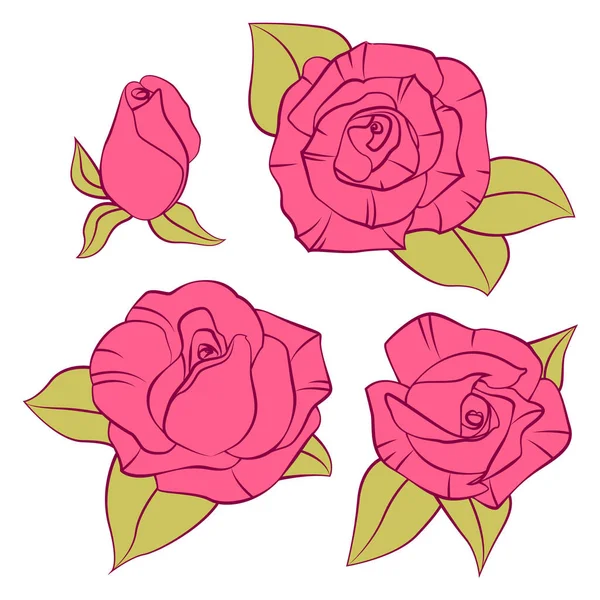 Collection de roses roses — Image vectorielle