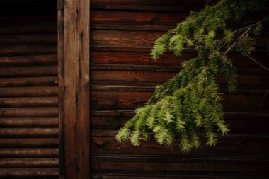 Ahşap bir binanın arka planında ladin filizleri