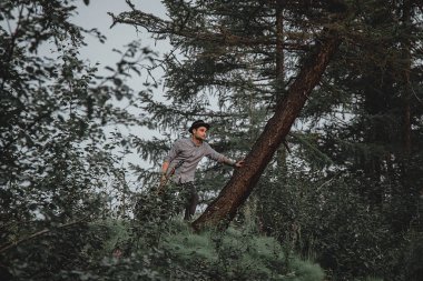 Ormanda gitar çalan adam.