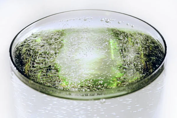 具有闪光饮料表面和绿光反射效果的玻璃杯 灰色背景下的选择性重点特写 — 图库照片