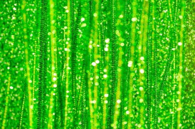 Pırıl pırıl parlayan ve süslemeli bulanık yeşil noel arkaplanı