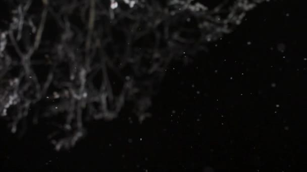 Copos de nieve en el cielo negro caen desde arriba — Vídeo de stock