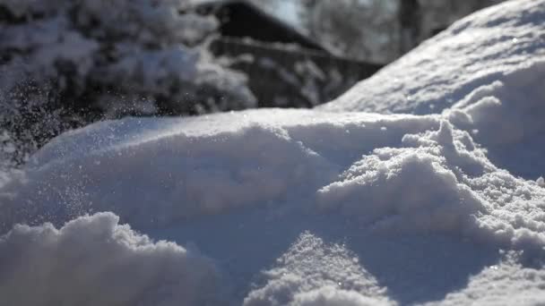 Menina varre neve do corpo do carro — Vídeo de Stock