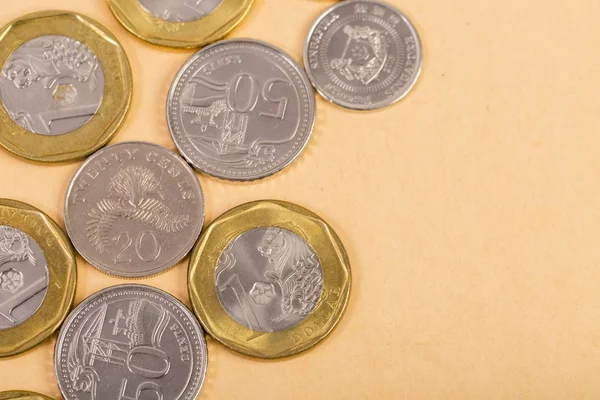 Singapur sikke yığını