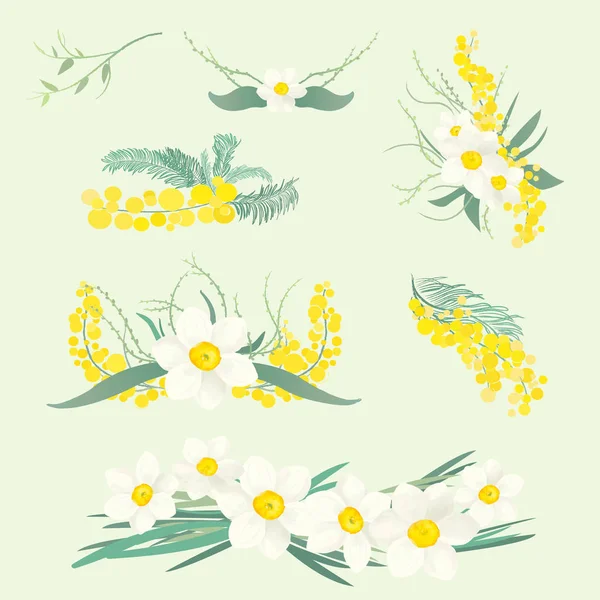 Floral Illustraties Set Brunches Boeketten Van Bloemen Van Mimosa Narcissus — Stockvector