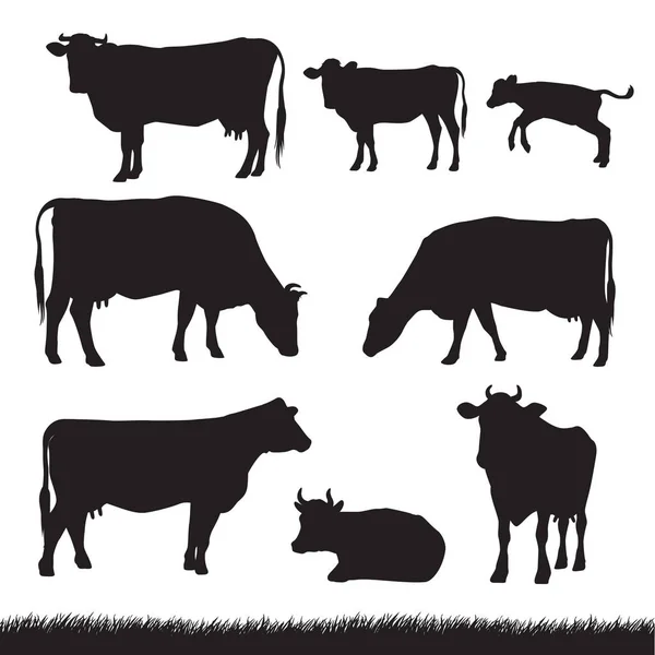 Vacas e Silhuetas de Relva —  Vetores de Stock