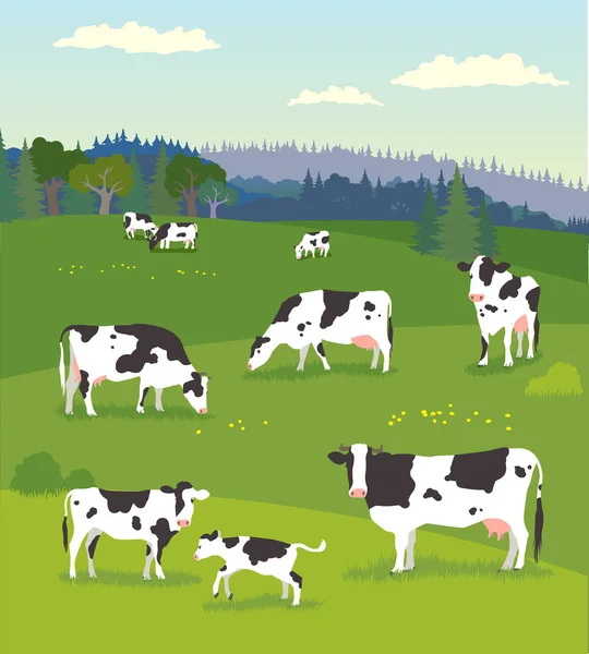 Τοπίο με βοσκή αγελάδες με αγελάδες μωρό — Διανυσματικό Αρχείο